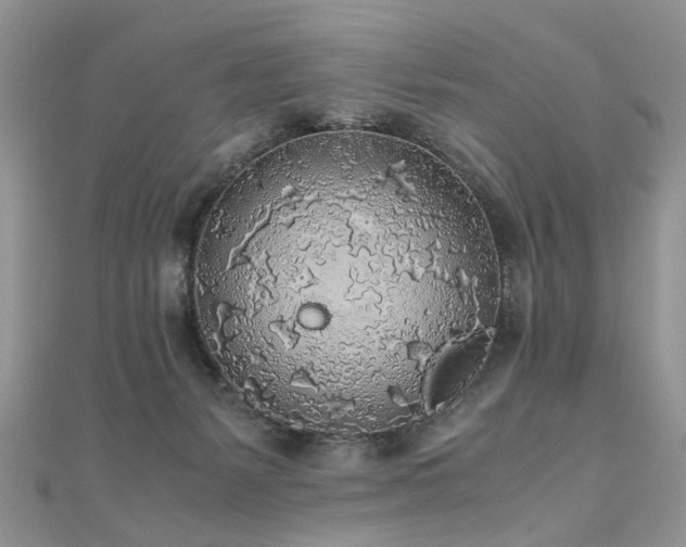 X0000110910127200906181351