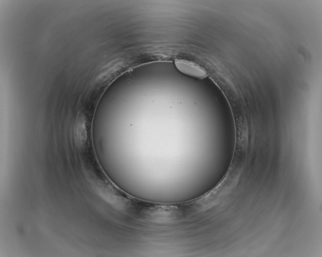 X0000110910128200906181351