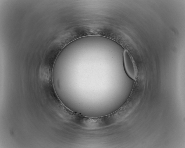 X0000110910129200906181351