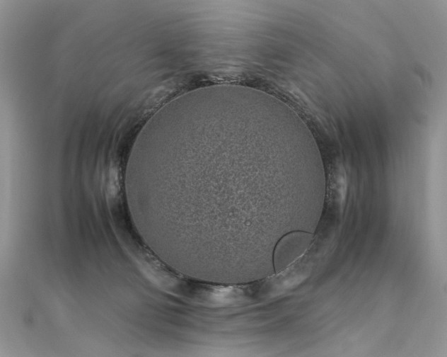 X0000110910130200906181351