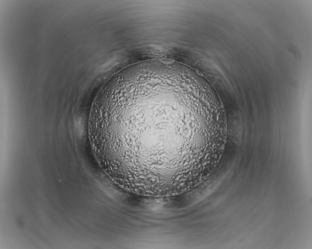 X0000110910131200906181351