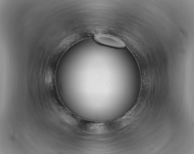 X0000110910132200906181351