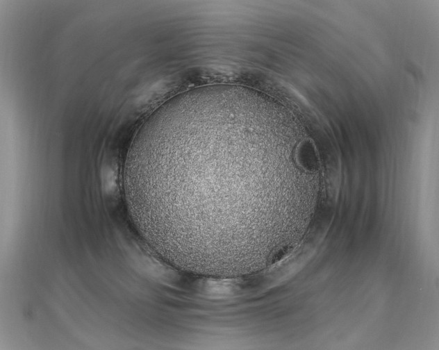 X0000110910134200906181351