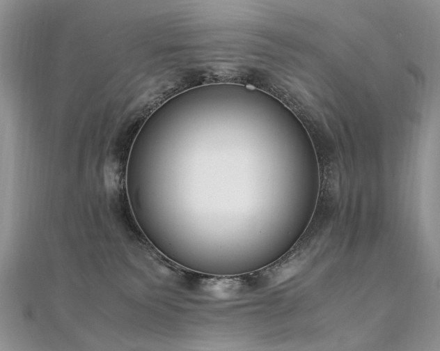 X0000110910135200906181351