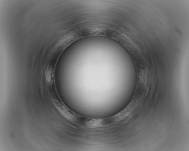 X0000110910138200906181351