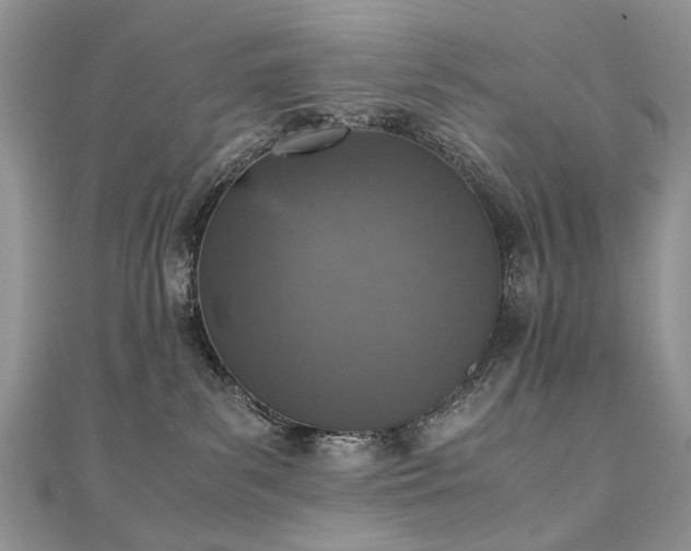 X0000110910139200906181351