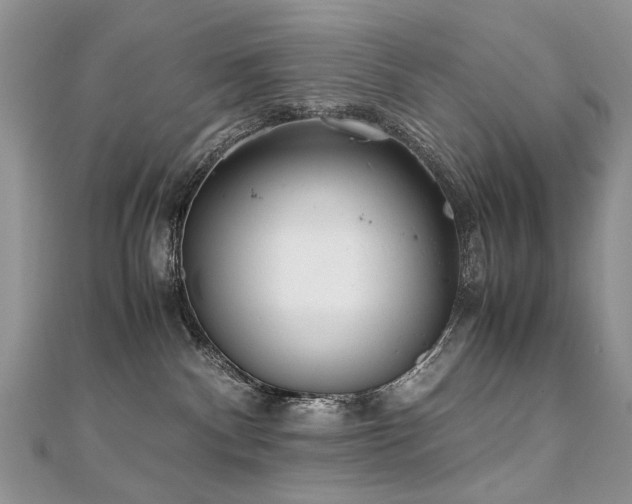 X0000110910140200906181351