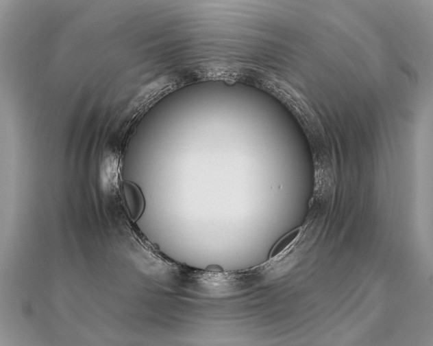 X0000110910142200906181351