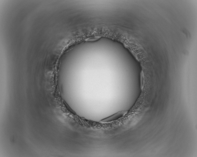 X0000110910144200906181351