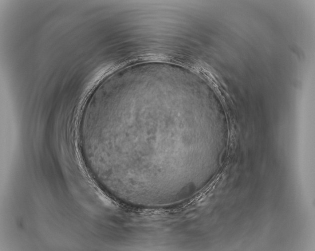 X0000110910145200906181350