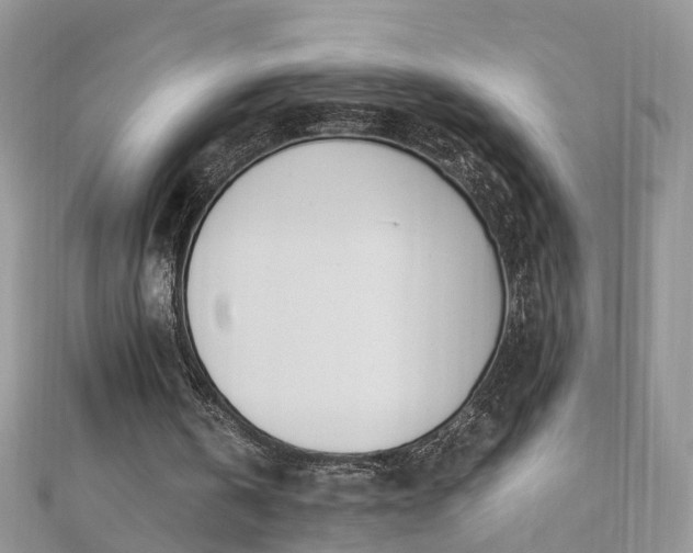 X0000110910146200906181350