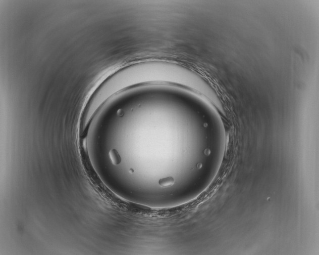 X0000110910148200906181350