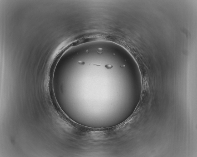 X0000110910150200906181350