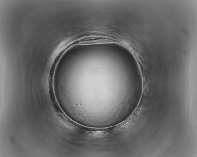 X0000110910151200906181350