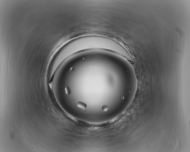 X0000110910152200906181350