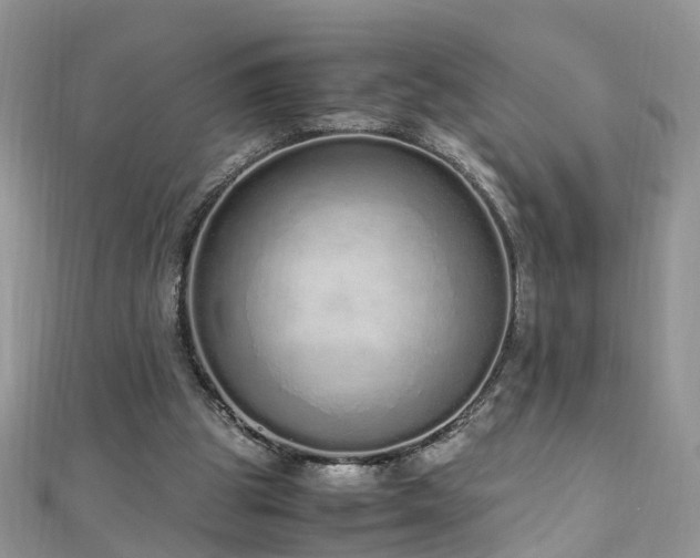 X0000110910153200906181350