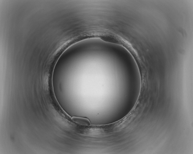 X0000110910154200906181350