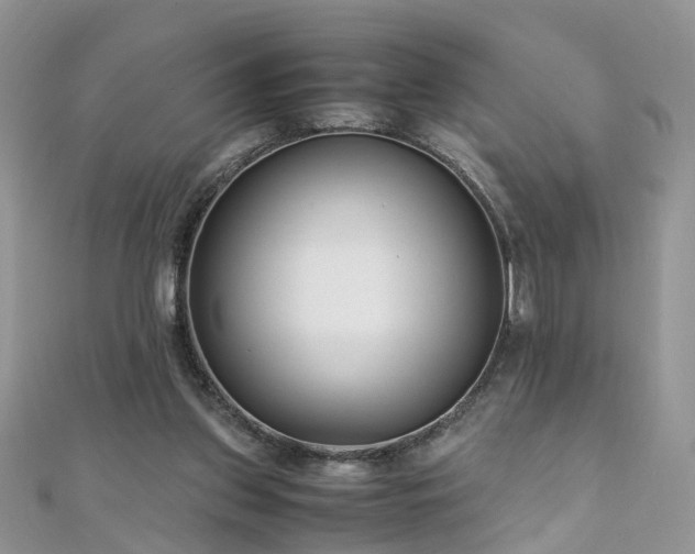 X0000110910157200906181350