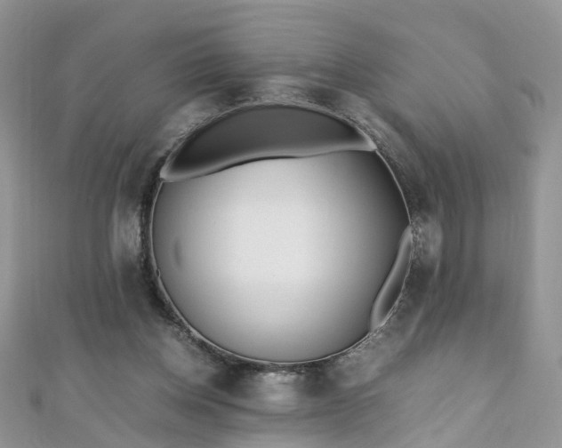 X0000110910158200906181350