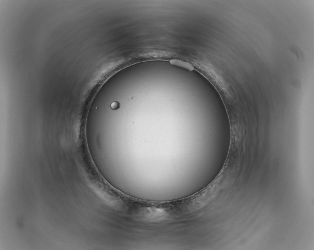 X0000110910159200906181350