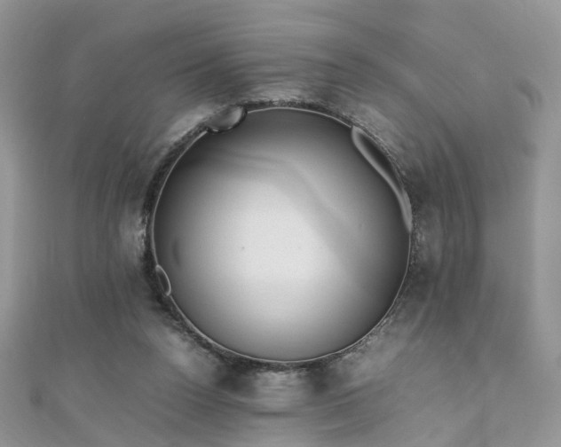 X0000110910160200906181350