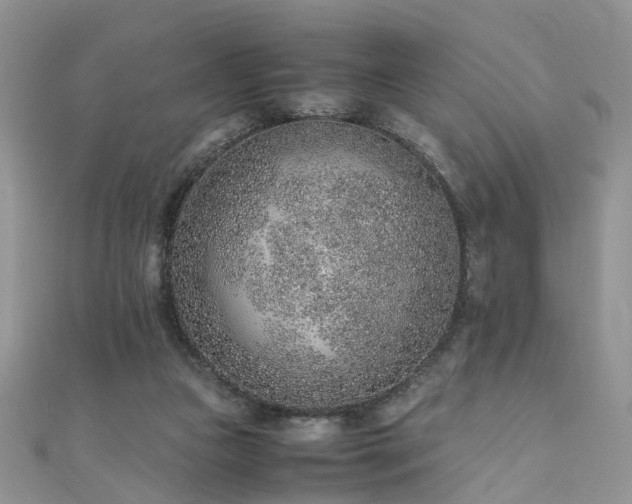 X0000110910161200906181350