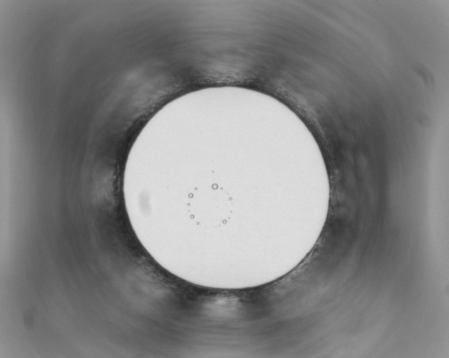 X0000110910162200906181350