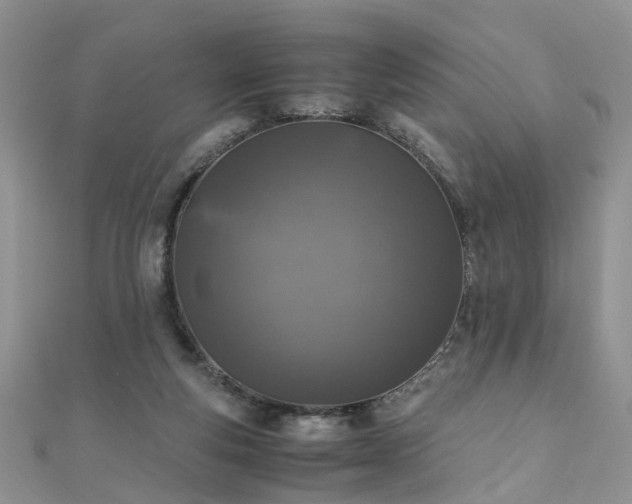 X0000110910163200906181350