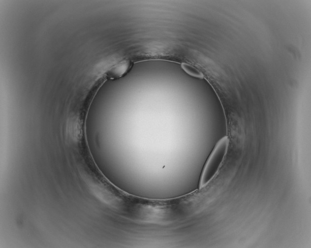 X0000110910164200906181350