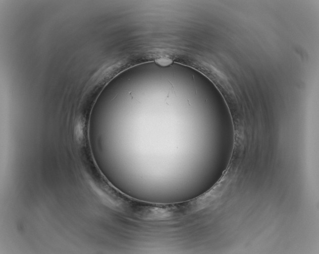 X0000110910166200906181350