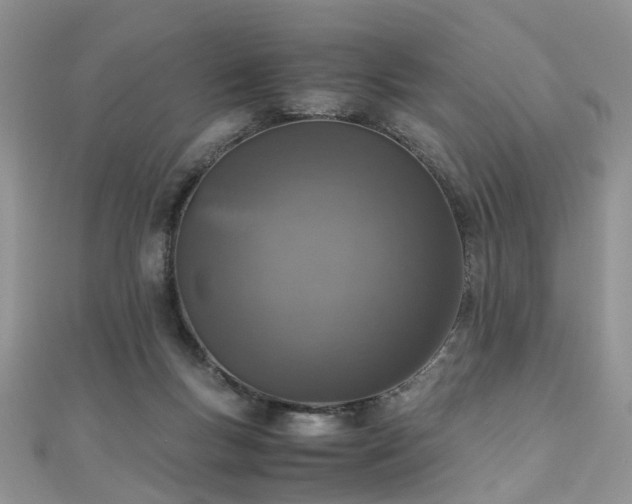 X0000110910167200906181350