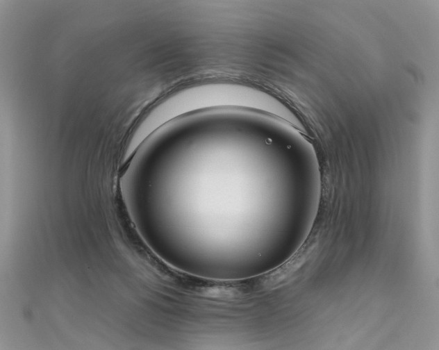 X0000110910168200906181350