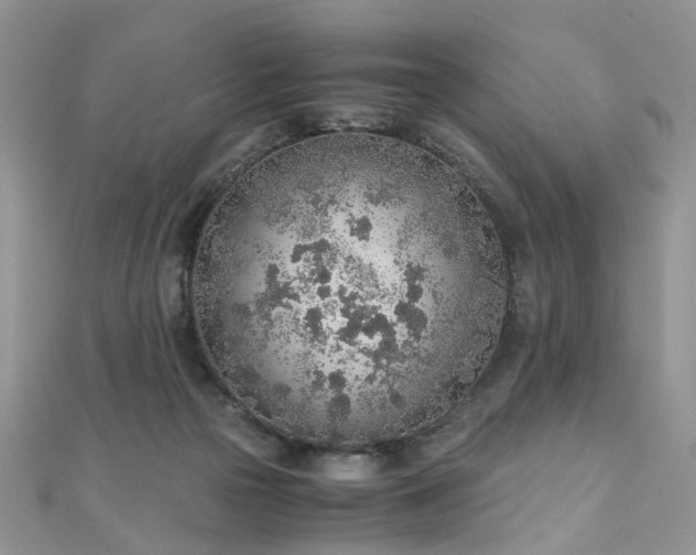 X0000110910169200906181350