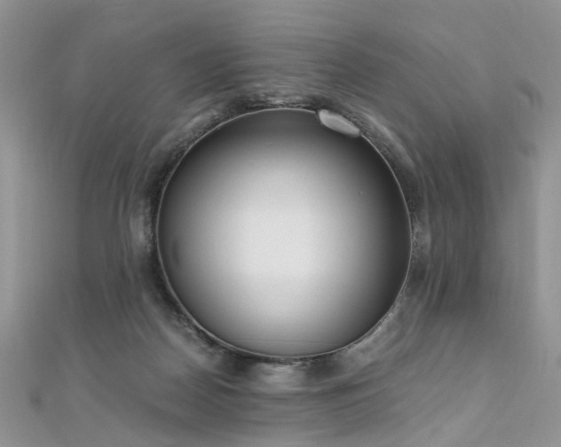 X0000110910170200906181350