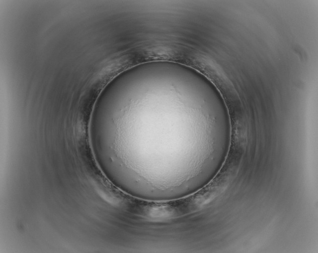 X0000110910173200906181350