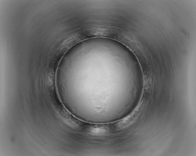 X0000110910175200906181350