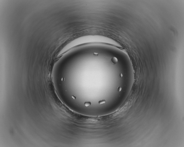 X0000110910176200906181350