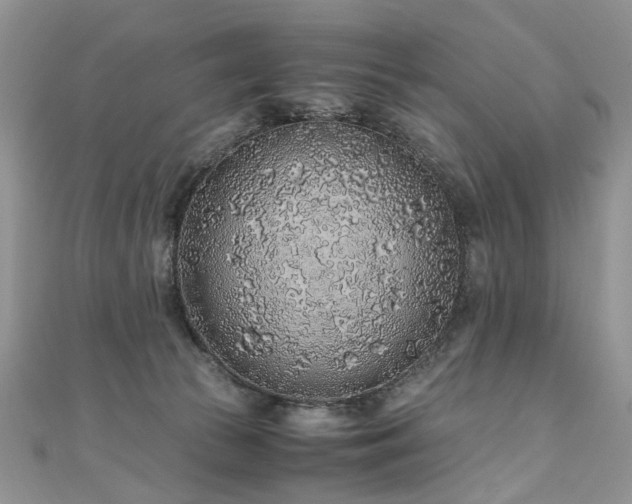 X0000110910177200906181350