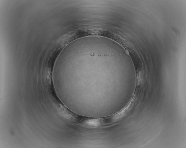 X0000110910178200906181350