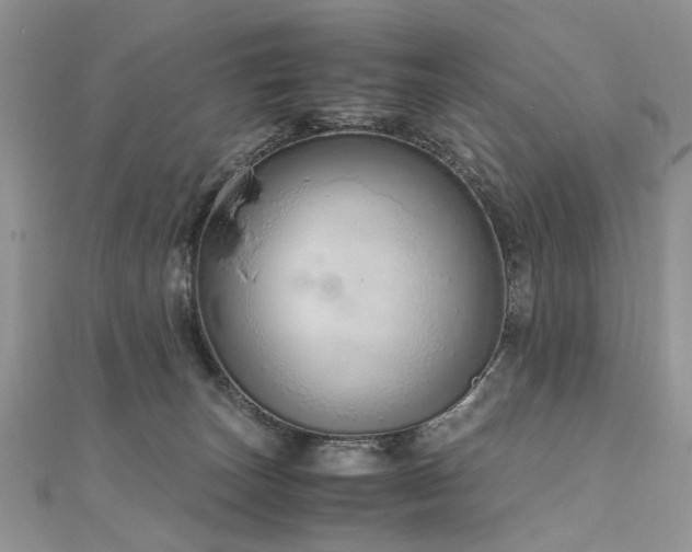 X0000110910179200906181350