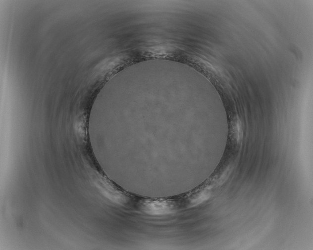 X0000110910181200906181350