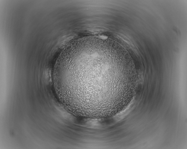 X0000110910182200906181350