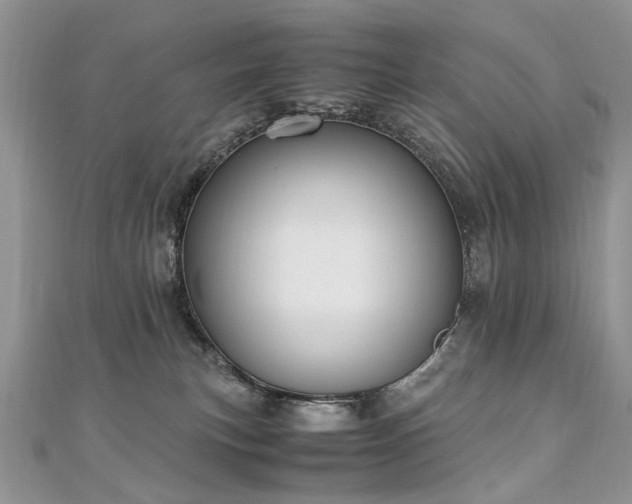 X0000110910183200906181350