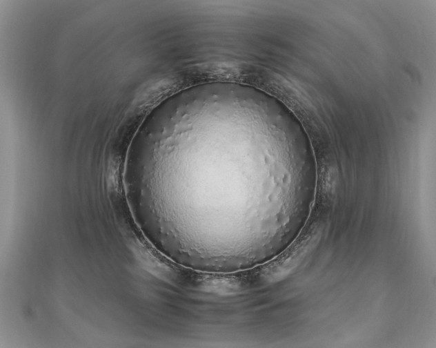 X0000110910185200906181350