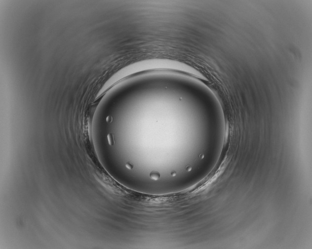 X0000110910186200906181350