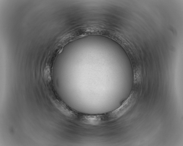 X0000110910187200906181350