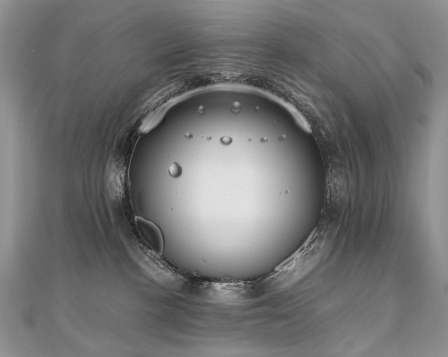 X0000110910188200906181351