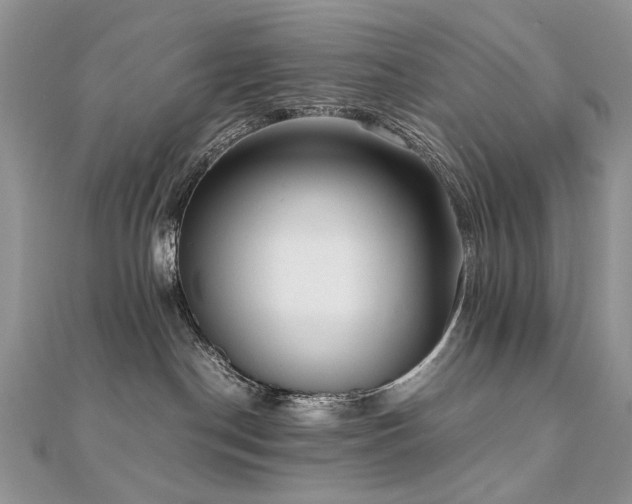 X0000110910190200906181351