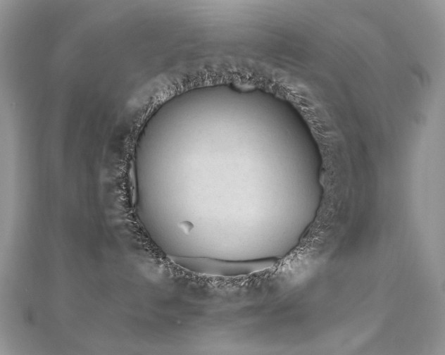 X0000110910192200906181351