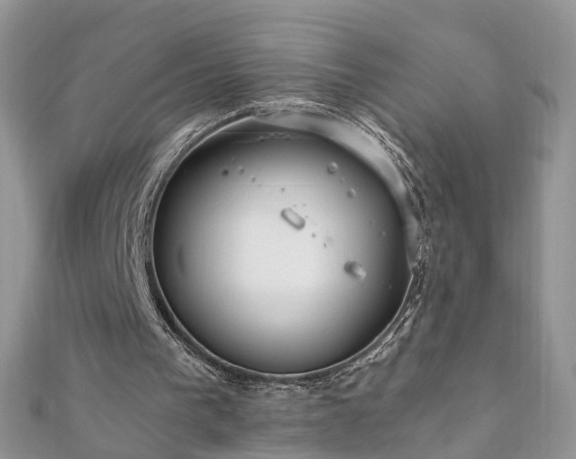 X0000110910193200906181350